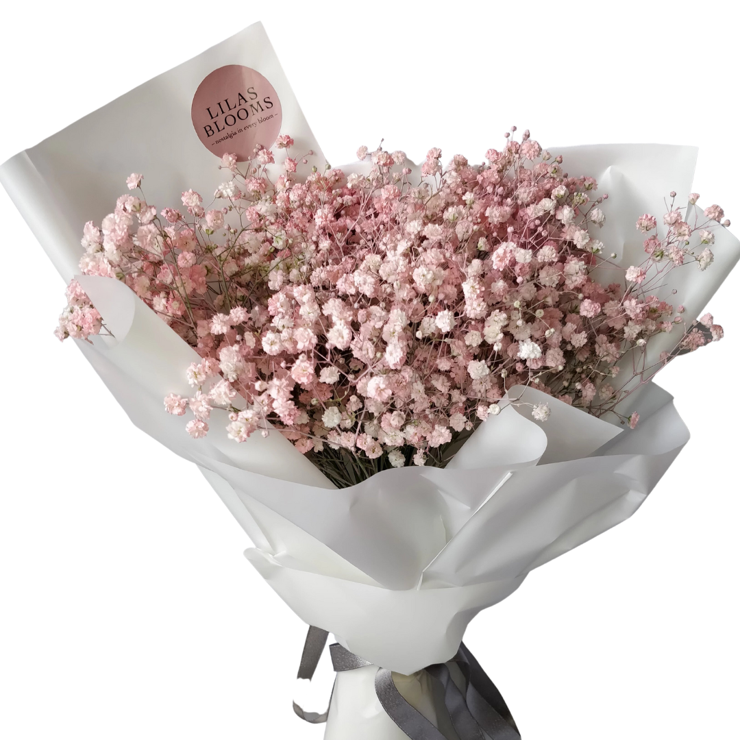 Baby's Breath Light Pink – Eblooms Farm Direct Inc.