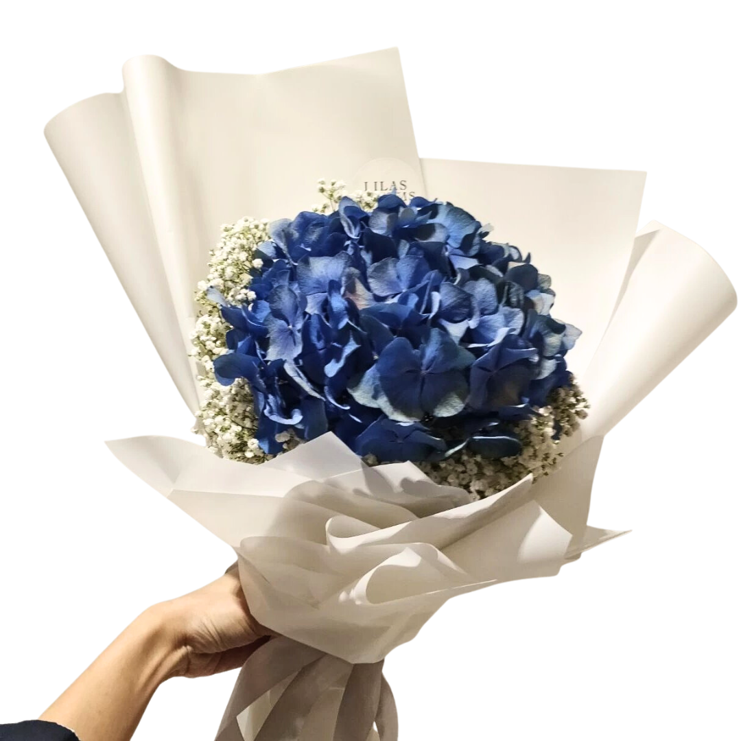 Hydrangeas & Baby Breath Bouquet