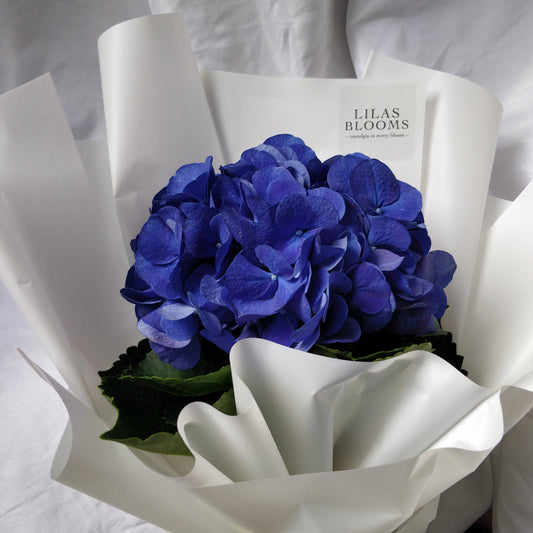  Hydrangeas Bouquet from LilasBlooms