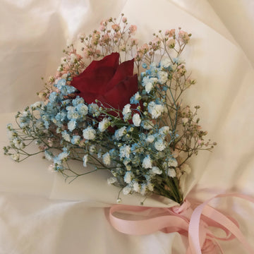 Single Stalk Rose with Baby Breath