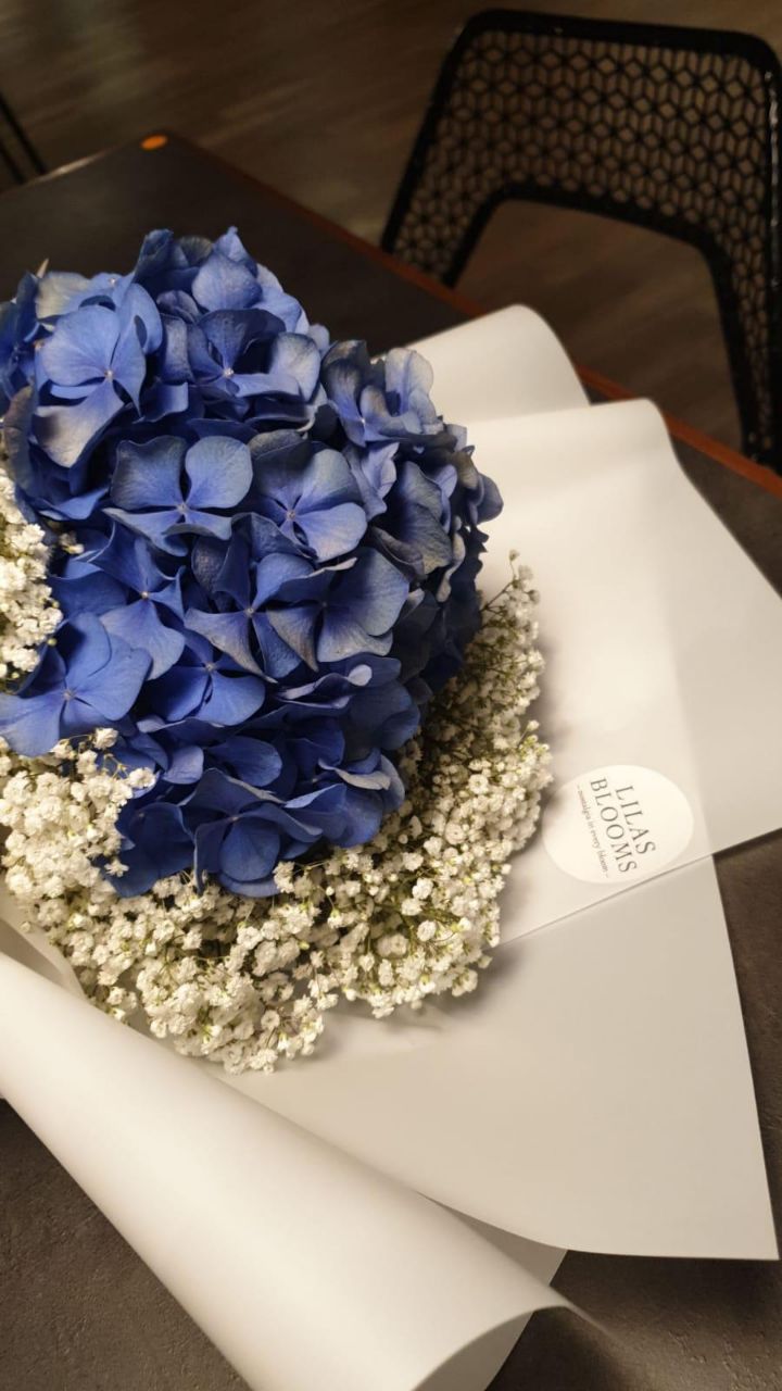 Hydrangeas & Baby Breath Bouquet